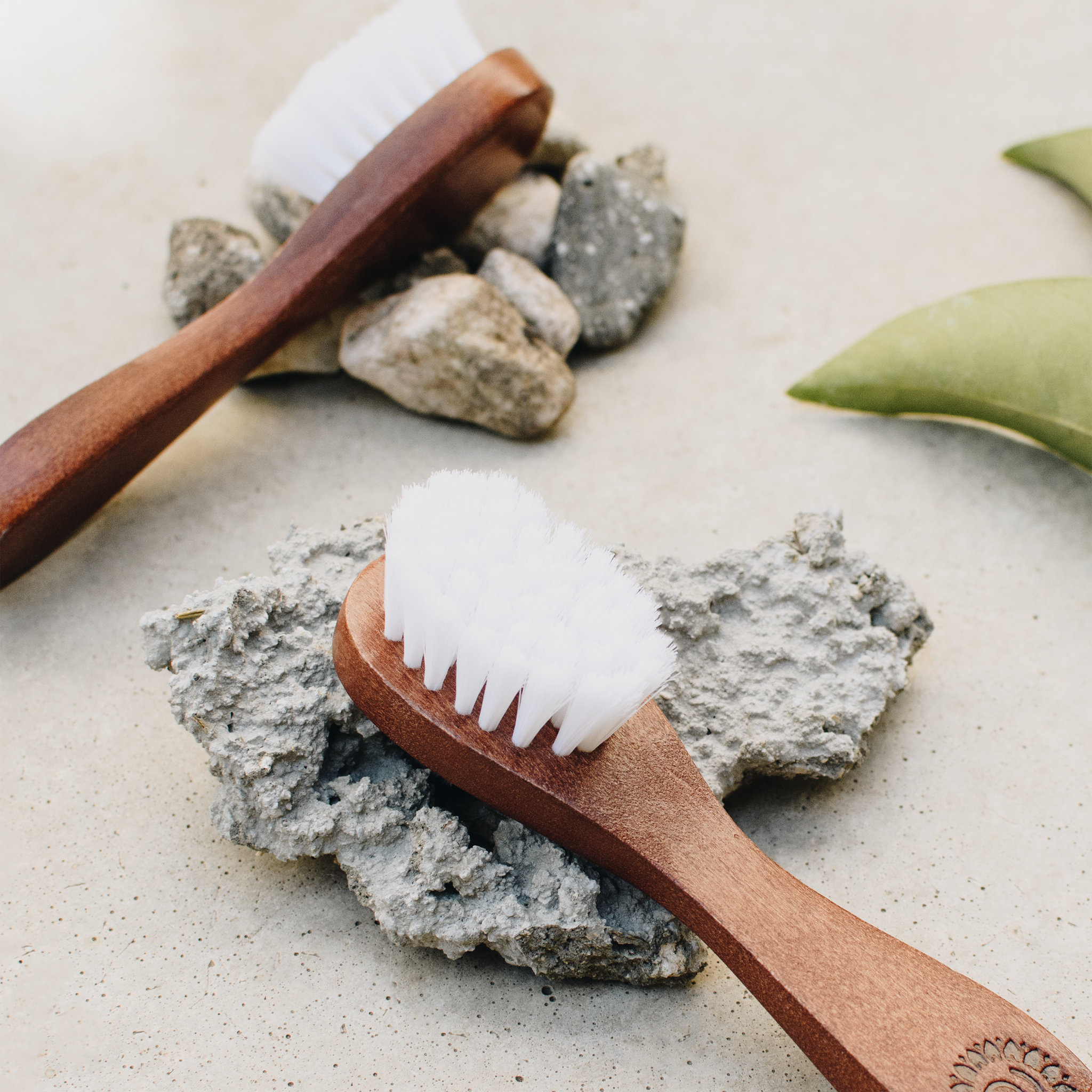 Face_Brush_Lifestyle_2048x2048_26ce7674-95e1-47c4-a696-16128c461676.png