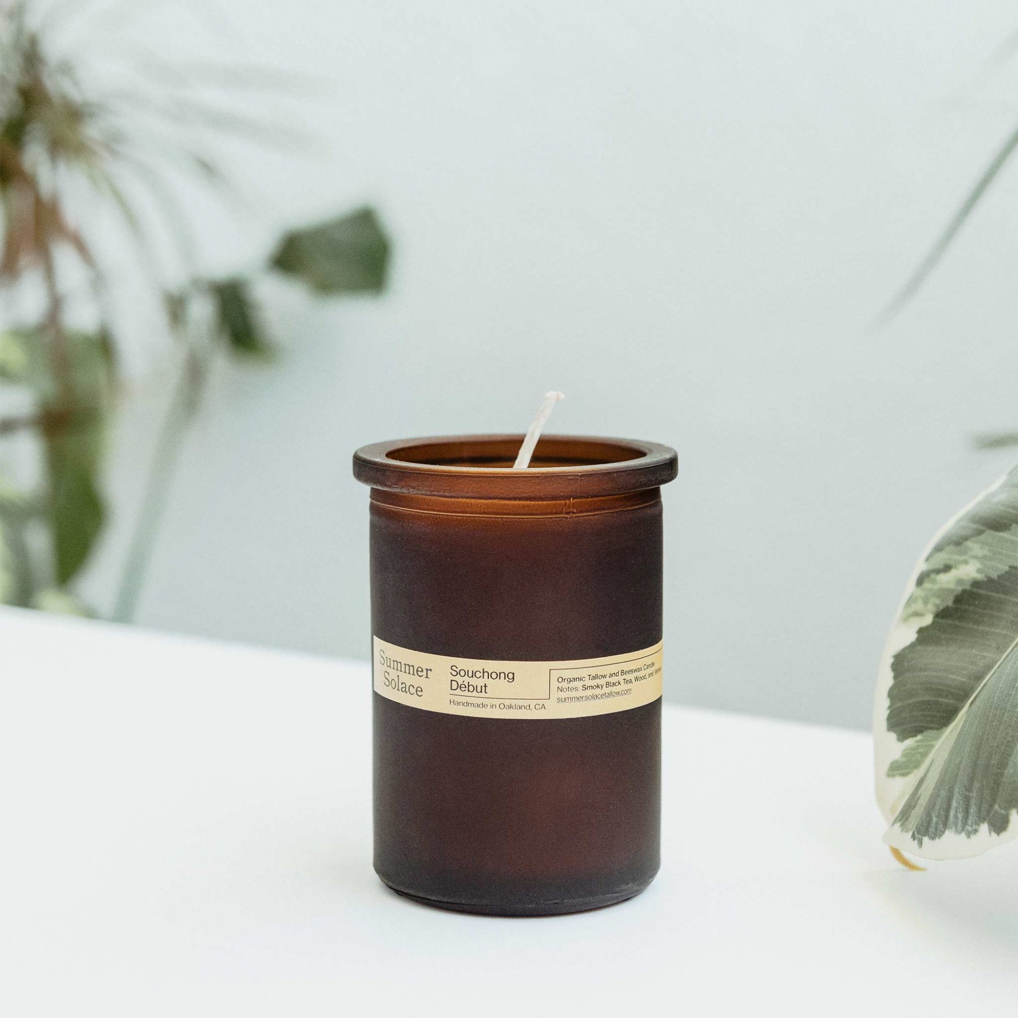 Souchong Debut Candle (6oz)