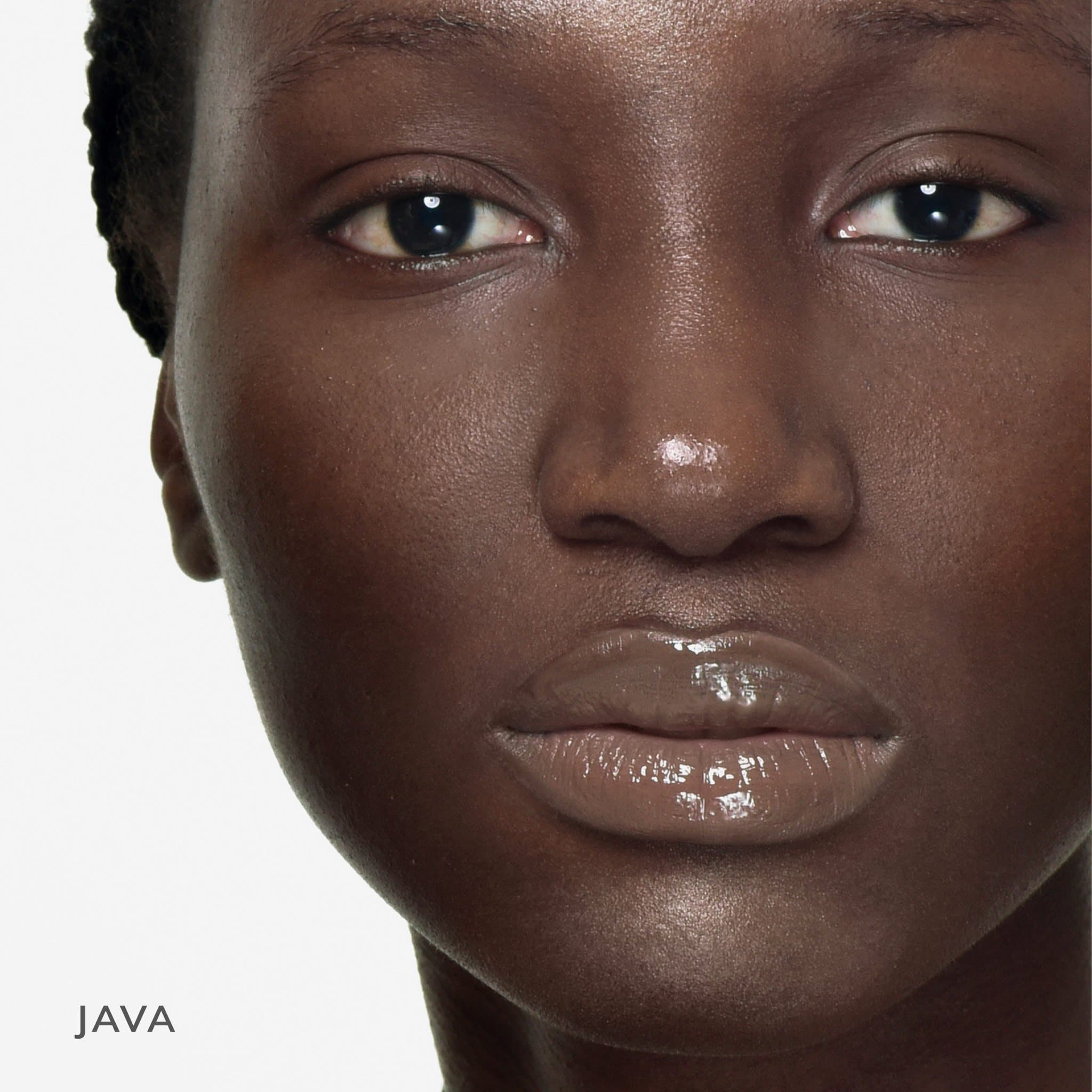 pdp_java_model.jpg